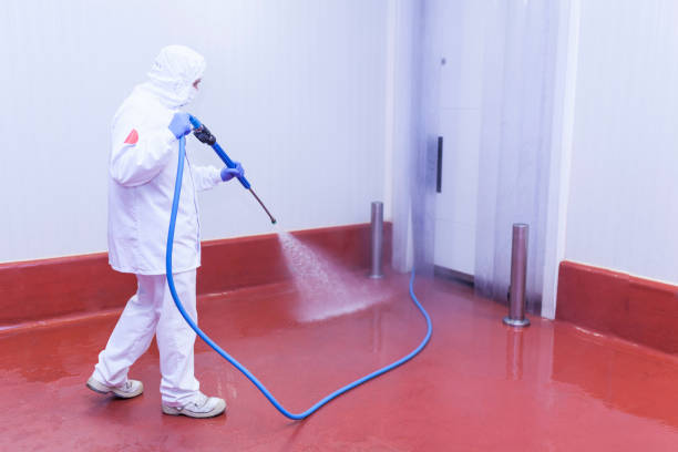 Best Paint Preparation  in Airport, CA